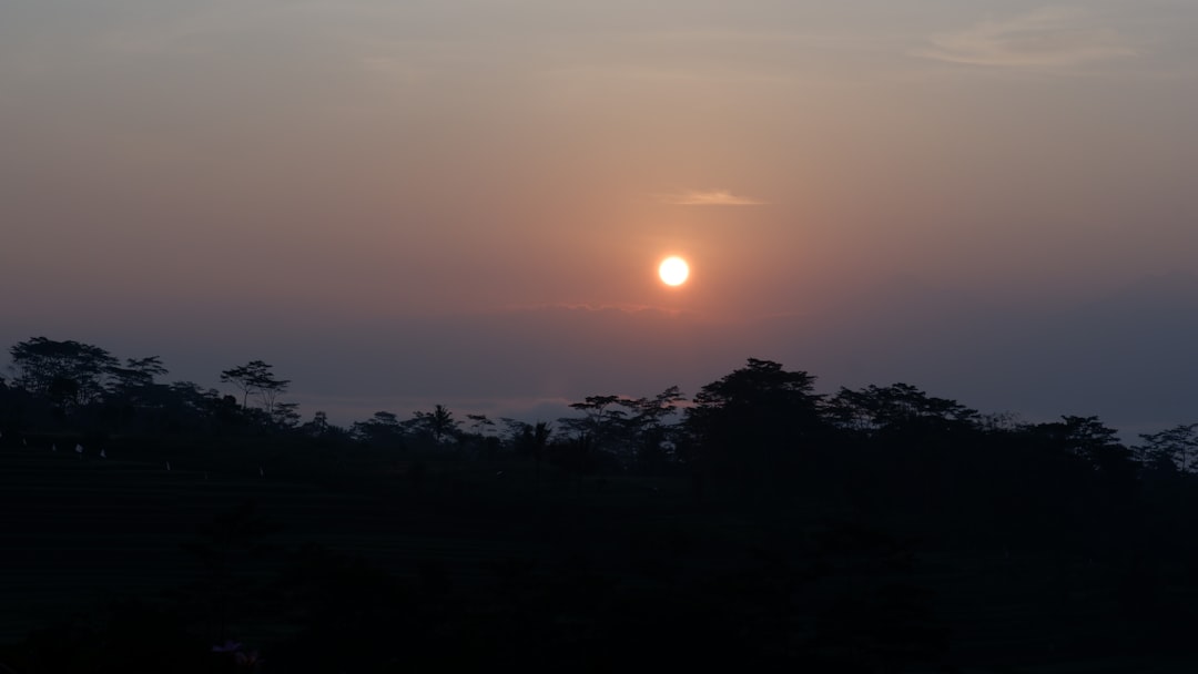 2026년 5월 첫 10K 마라톤 완주 - 부상 없이 거리 늘리는 4주 훈련 스케줄