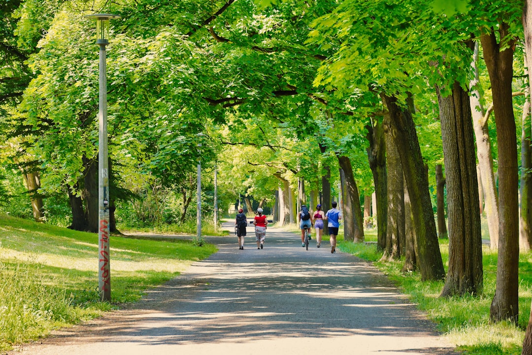 2026년 6월 첫 10K 마라톤, 초보 러너를 위한 폭염 대비 보급과 쿨링 전략